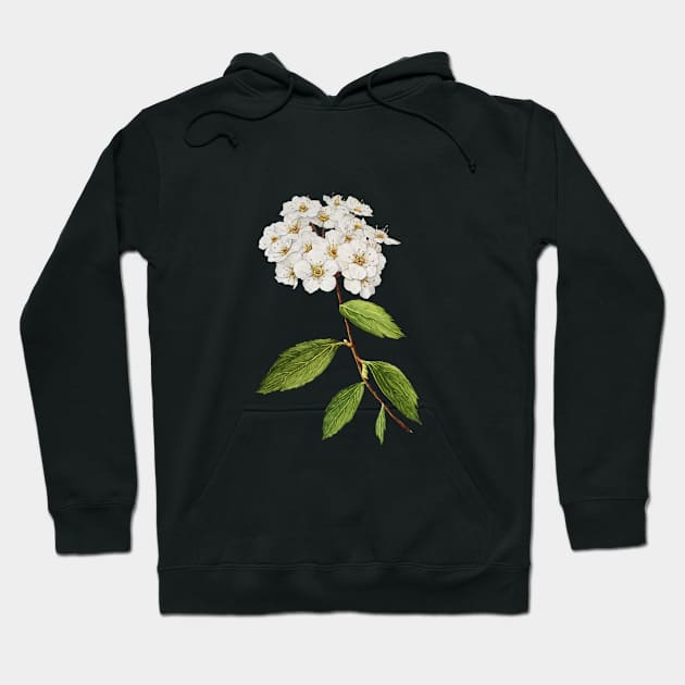 Bushes Specialist Hoodie by mamajona